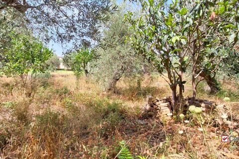 Landejendom i Messina, Messina, Messina - € 36.000 | Ref: VSP329 - foto 16