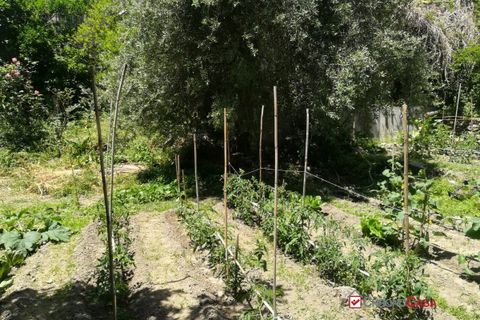 Terra a Messina, Messina, Messina - € 77.000 | Ref: VS863 - foto 8