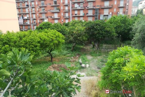 Terra a Messina, Messina, Messina - € 77.000 | Ref: VS863 - foto 12