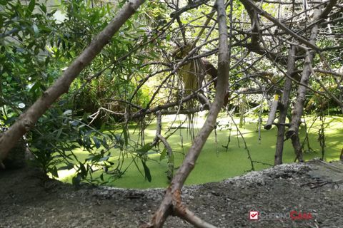 Terra a Messina, Messina, Messina - € 77.000 | Ref: VS863 - foto 15