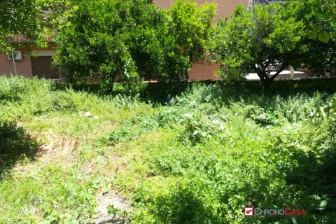 Terra a Messina, Messina, Messina - € 77.000 | Ref: VS863 - foto 16