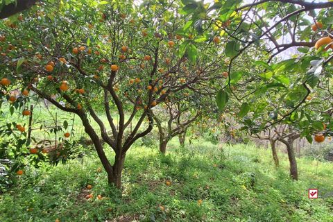 Helårsgrund i Rometta, Messina, Rometta - € 20.000 | Ref: VSP330 - foto 1
