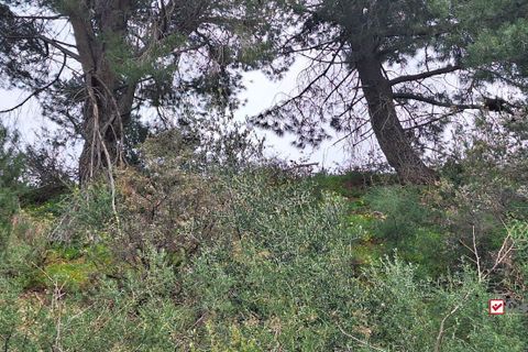 Helårsgrund i Rometta, Messina, Rometta - € 20.000 | Ref: VSP330 - foto 3