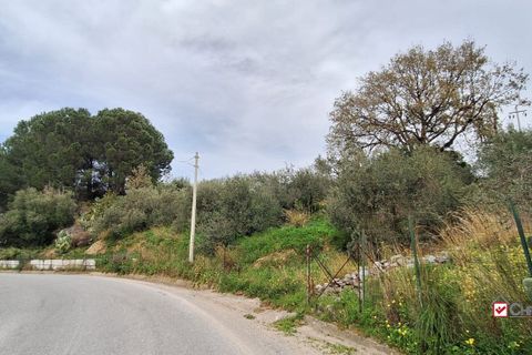 Helårsgrund i Rometta, Messina, Rometta - € 20.000 | Ref: VSP330 - foto 4