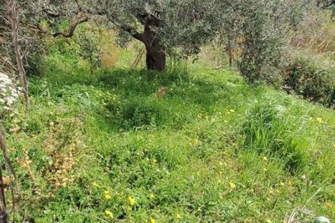 Helårsgrund i Rometta, Messina, Rometta - € 20.000 | Ref: VSP330 - foto 5