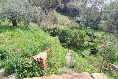 Helårsgrund i Rometta, Messina, Rometta - € 20.000 | Ref: VSP330 - foto 6