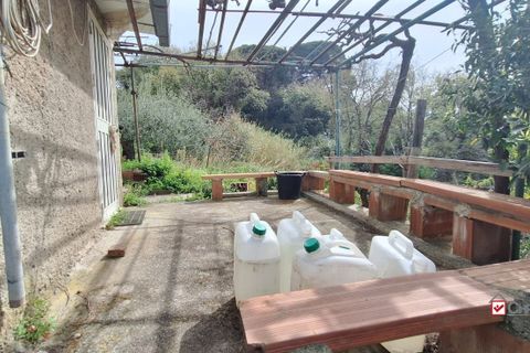 Helårsgrund i Rometta, Messina, Rometta - € 20.000 | Ref: VSP330 - foto 7
