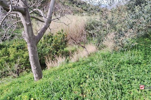 Helårsgrund i Rometta, Messina, Rometta - € 20.000 | Ref: VSP330 - foto 8