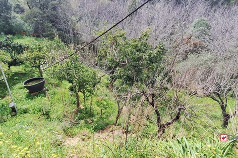 Helårsgrund i Rometta, Messina, Rometta - € 20.000 | Ref: VSP330 - foto 9