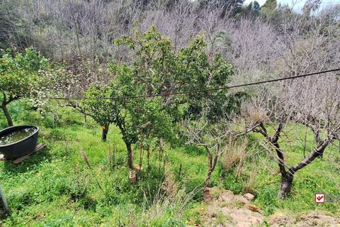 Helårsgrund i Rometta, Messina, Rometta - € 20.000 | Ref: VSP330 - foto 10