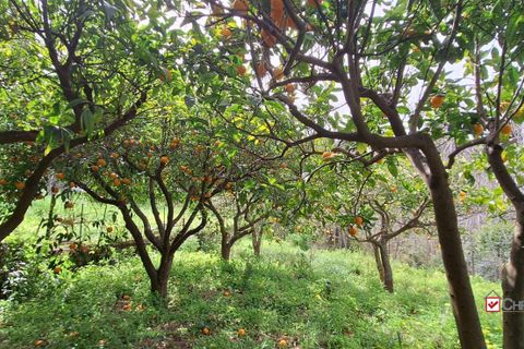 Helårsgrund i Rometta, Messina, Rometta - € 20.000 | Ref: VSP330 - foto 11