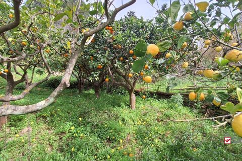 Helårsgrund i Rometta, Messina, Rometta - € 20.000 | Ref: VSP330 - foto 12