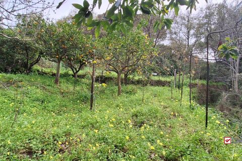 Helårsgrund i Rometta, Messina, Rometta - € 20.000 | Ref: VSP330 - foto 13