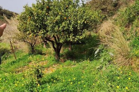 Helårsgrund i Rometta, Messina, Rometta - € 20.000 | Ref: VSP330 - foto 14
