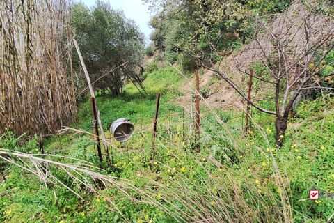 Helårsgrund i Rometta, Messina, Rometta - € 20.000 | Ref: VSP330 - foto 15