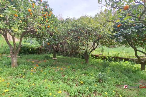 Helårsgrund i Rometta, Messina, Rometta - € 20.000 | Ref: VSP330 - foto 17