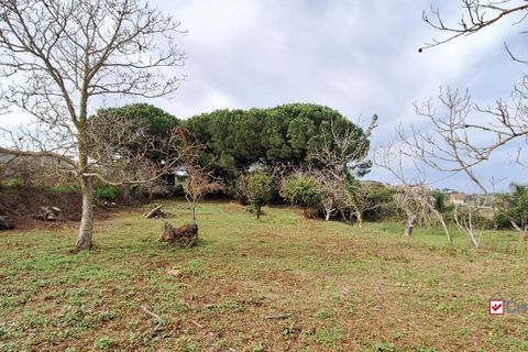 Grond in Messina, Messina, Messina - € 19.500 | Ref: vsp348 - foto 5