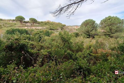 Grond in Messina, Messina, Messina - € 19.500 | Ref: vsp348 - foto 6