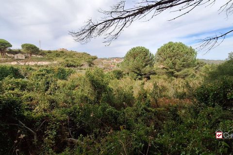 Grond in Messina, Messina, Messina - € 19.500 | Ref: vsp348 - foto 7