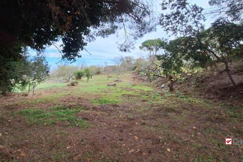 Grond in Messina, Messina, Messina - € 19.500 | Ref: vsp348 - foto 9