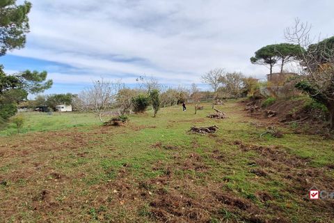 Grond in Messina, Messina, Messina - € 19.500 | Ref: vsp348 - foto 10