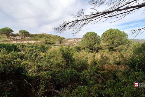Grond in Messina, Messina, Messina - € 19.500 | Ref: vsp348 - foto 13