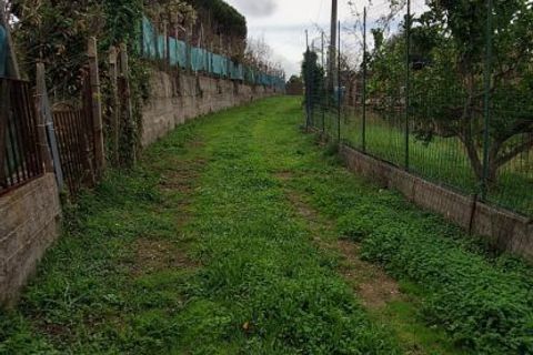 Grond in Messina, Messina, Messina - € 19.500 | Ref: vsp348 - foto 14