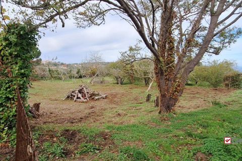 Grond in Messina, Messina, Messina - € 19.500 | Ref: vsp348 - foto 17