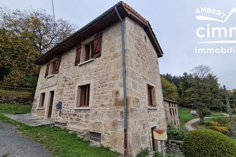 Villa en Bertignat, Puy-de-Dome, Bertignat - € 79.900 | Ref: 713-CIMMIMMO - photo 3