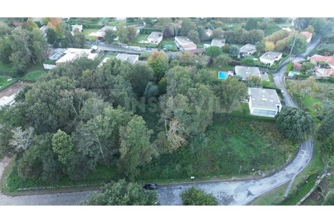 Helårsgrund i Venade e Azevedo, Viana do Castelo, Venade e Azevedo - € 100.000 | Ref: 2734 - foto 14
