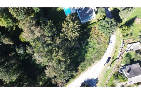 Helårsgrund i Venade e Azevedo, Viana do Castelo, Venade e Azevedo - € 100.000 | Ref: 2734 - foto 15