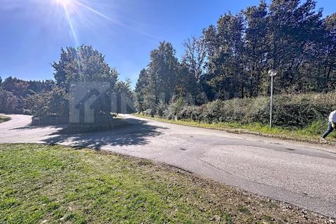 Helårsgrund i Venade e Azevedo, Viana do Castelo, Venade e Azevedo - € 100.000 | Ref: 2734 - foto 18