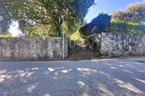 Helårsgrund i Venade e Azevedo, Viana do Castelo, Venade e Azevedo - € 100.000 | Ref: 2734 - foto 19