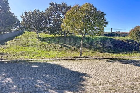 Helårsgrund i Venade e Azevedo, Viana do Castelo, Venade e Azevedo - € 106.400 | Ref: 2725 - foto 11