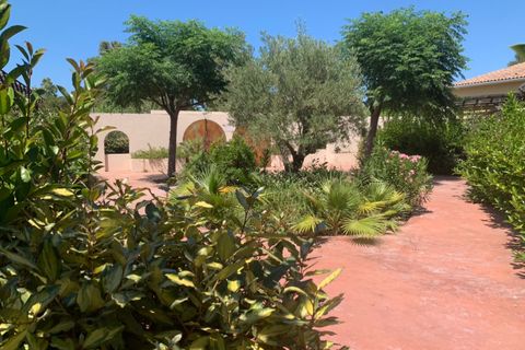 Leilighet i Monticello, Haute-Corse, Monticello - € 245 000 | Ref: 35951 - foto 23