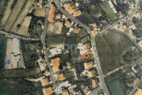 Lejlighed i Ribeirao, Braga, Ribeirao - € 255.000 | Ref: ZMPT579333 - foto 12