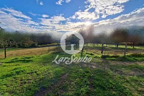 Helårsgrund i Barcelos, Braga, Barcelos - € 160.000 | Ref: 240-T-25986 - foto 2