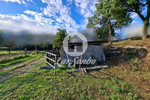 Helårsgrund i Barcelos, Braga, Barcelos - € 160.000 | Ref: 240-T-25986 - foto 4