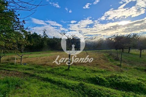 Helårsgrund i Barcelos, Braga, Barcelos - € 160.000 | Ref: 240-T-25986 - foto 5