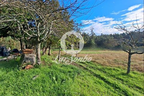 Helårsgrund i Barcelos, Braga, Barcelos - € 160.000 | Ref: 240-T-25986 - foto 6
