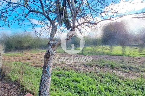 Helårsgrund i Barcelos, Braga, Barcelos - € 160.000 | Ref: 240-T-25986 - foto 7