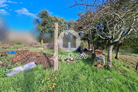 Helårsgrund i Barcelos, Braga, Barcelos - € 160.000 | Ref: 240-T-25986 - foto 8
