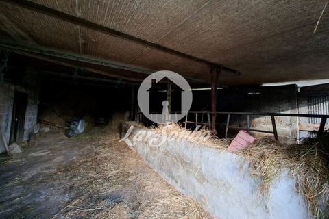 Helårsgrund i Barcelos, Braga, Barcelos - € 160.000 | Ref: 240-T-25986 - foto 11
