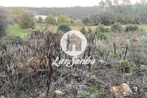 Helårsgrund i Trofa, Porto, Trofa - € 146.500 | Ref: 240-T-25995 - foto 13