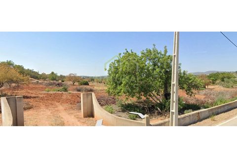 Terra a Olhao, Faro, Olhao - € 1.000/mes | Ref: TER_2913_ARR - foto 2