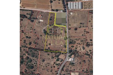 Terra a Olhao, Faro, Olhao - € 1.000/mes | Ref: TER_2913_ARR - foto 3