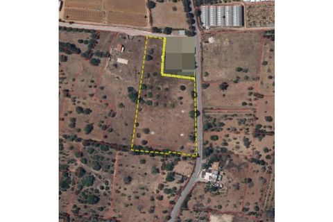 Terra a Olhao, Faro, Olhao - € 1.000/mes | Ref: TER_2913_ARR - foto 4