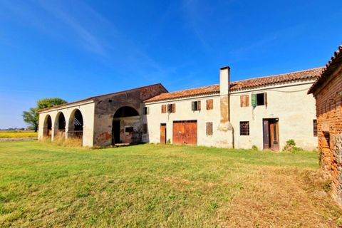Landejendom i Villa Estense, Padua, Villa Estense - € 89.000 | Ref: RUST 231 - foto 8