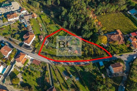 Helårsgrund i Amarante, Porto, Amarante - € 260.000 | Ref: SÒL_810 - foto 1