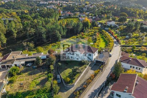 Farm i Amarante, Porto, Amarante - € 598.000 | Ref: MAS_802 - foto 33